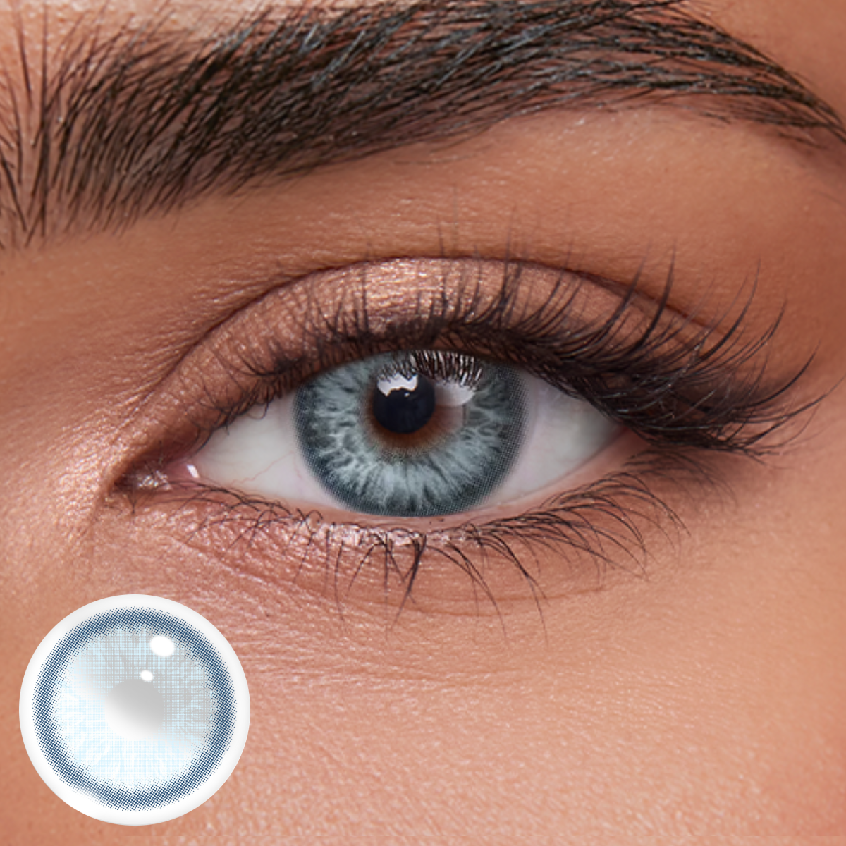 Akiwaii Shinelux Blue [Yearly]