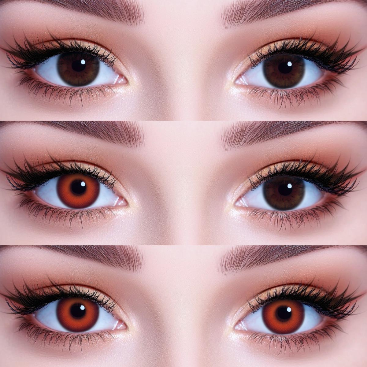 Akiwaii Jewel Red[Yearly]