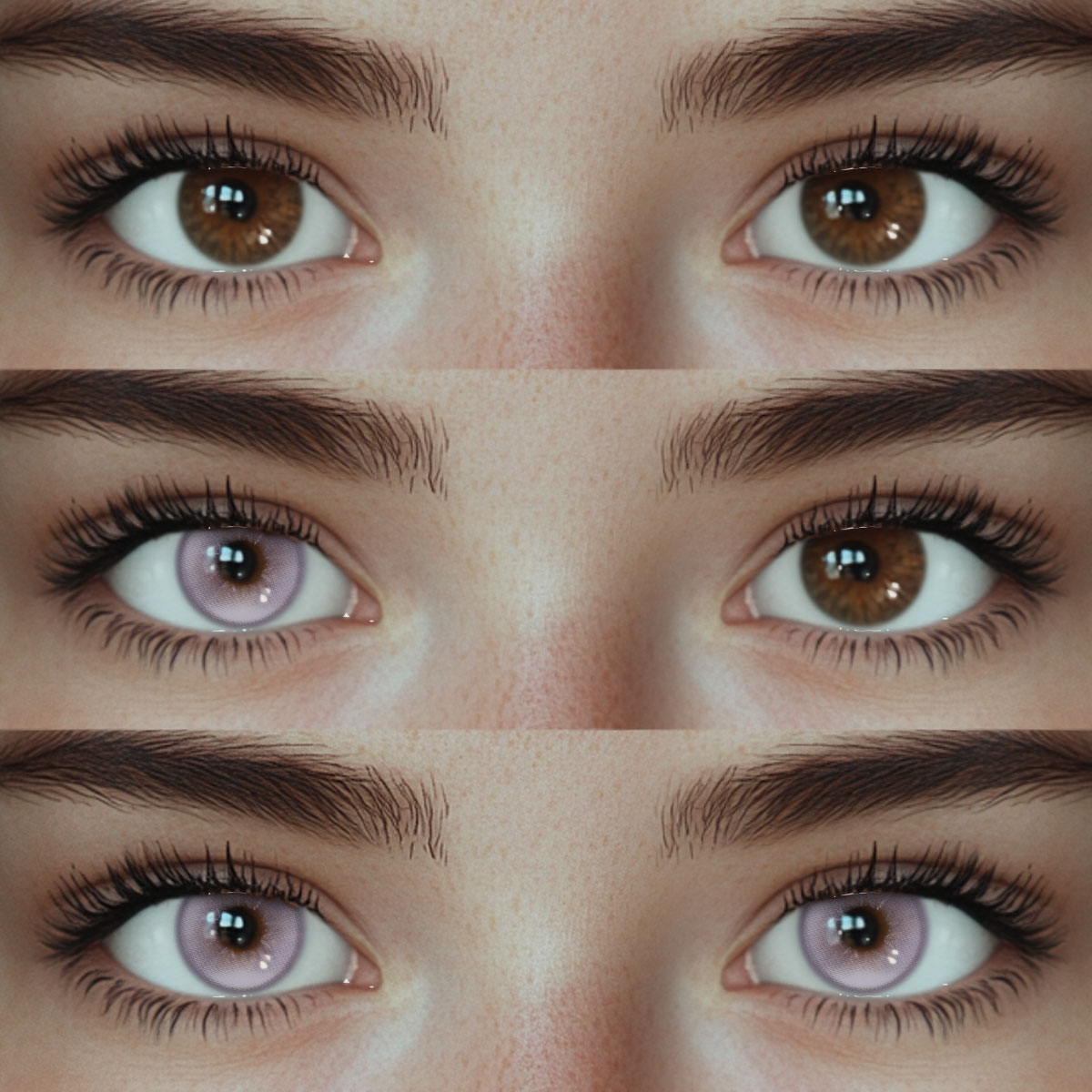 Akiwaii Lavone Purple[Yearly]