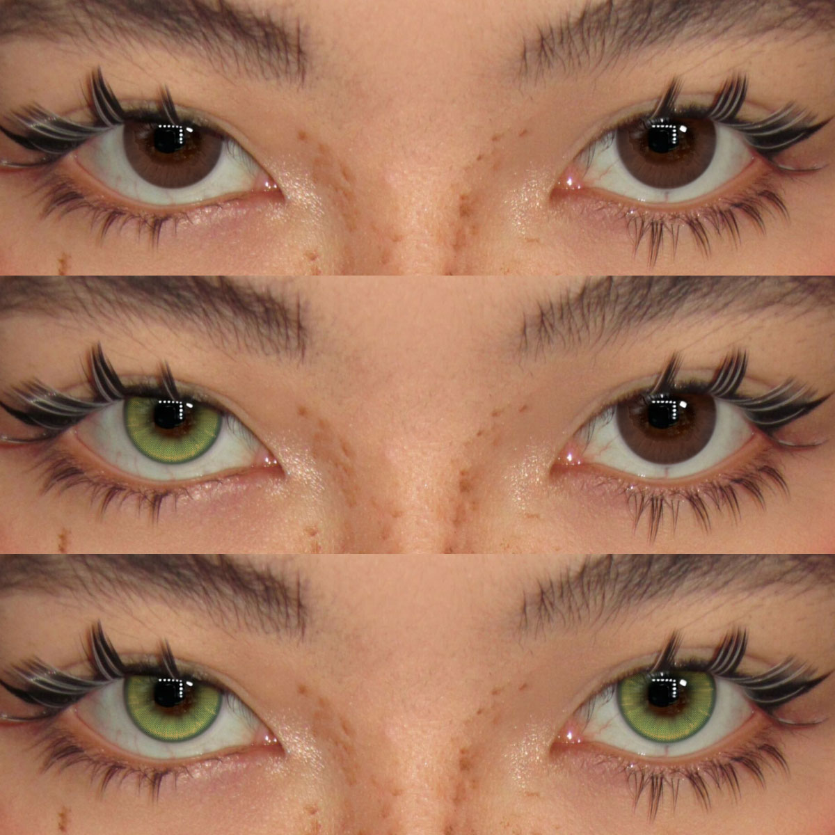 Akiwaii Limora Green[Yearly]