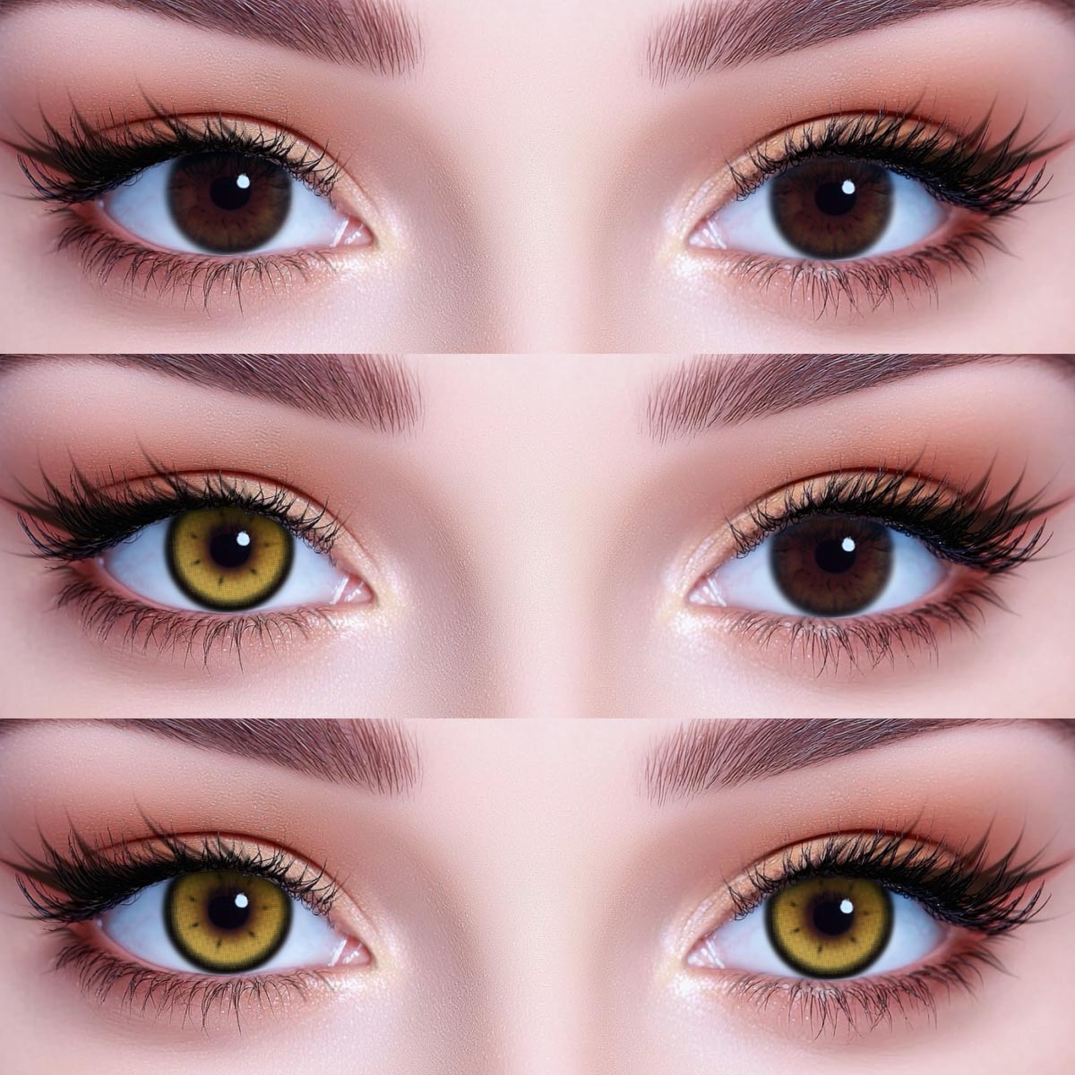 Akiwaii Luminate Brown[Yearly]