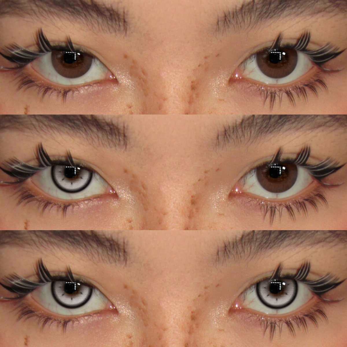 Akiwaii Luminate Grey[Yearly]