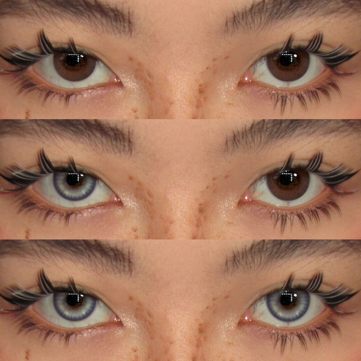 Akiwaii Lunet Blue [Yearly]