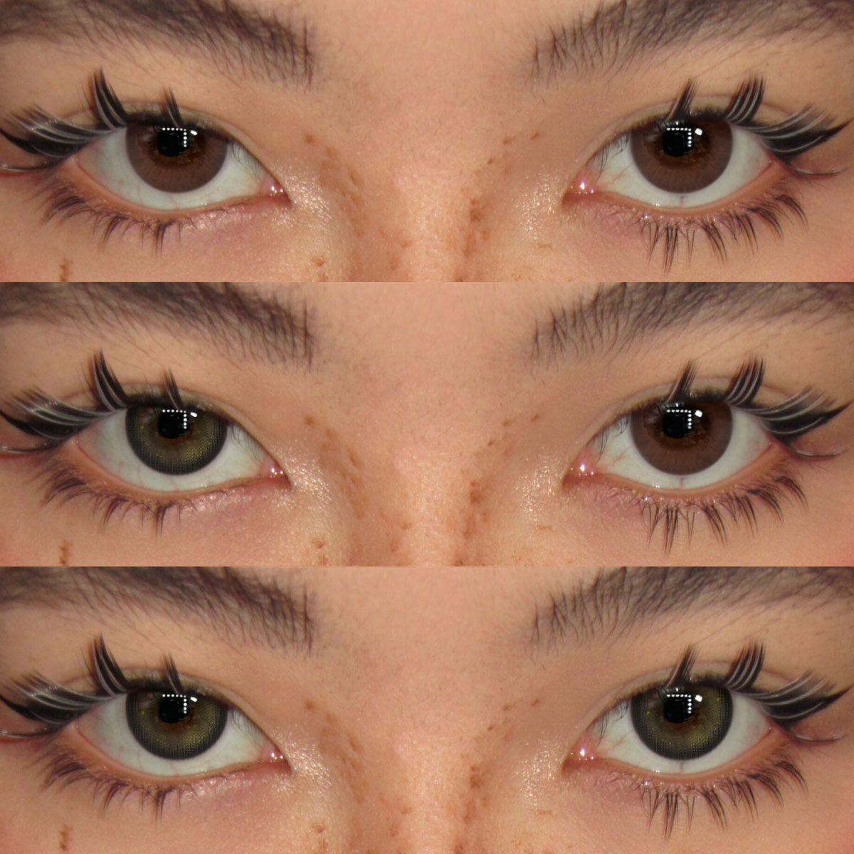 Akiwaii Lyricane Brown [Yearly]