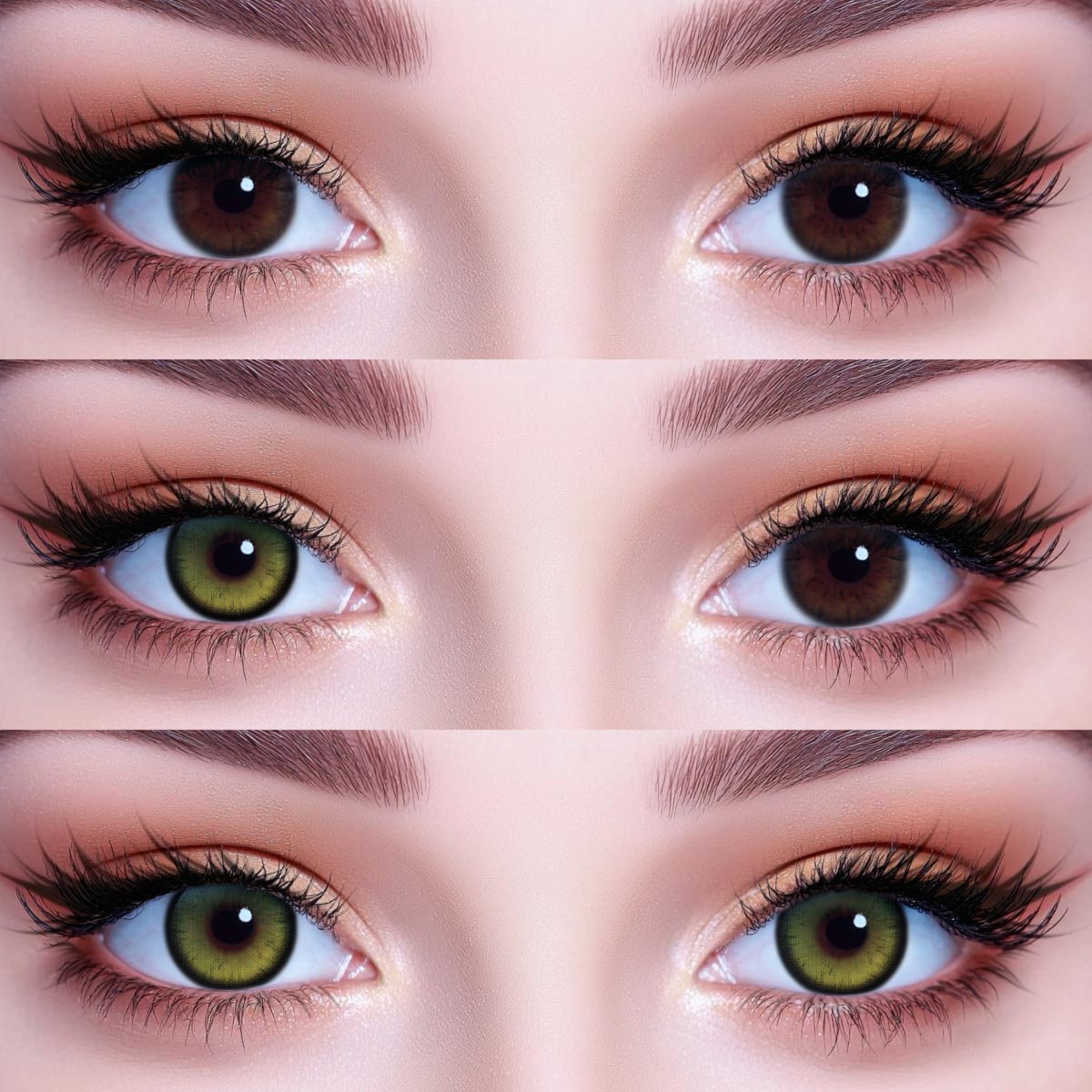 Akiwaii Nightis Brown[Yearly]