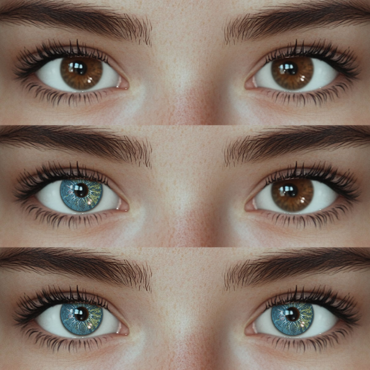 Akiwaii Orbit Blue[Yearly]