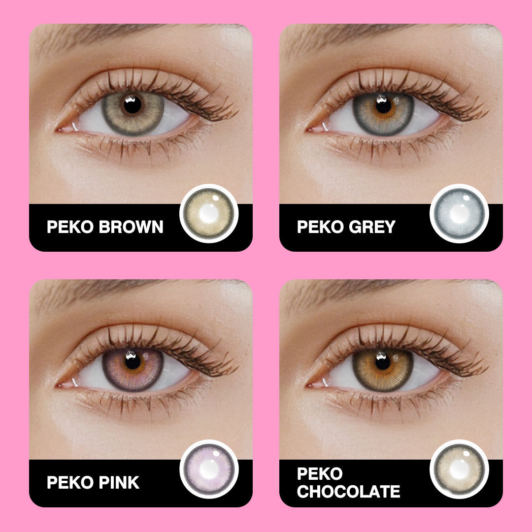 Akiwaii Peko Brown [Yearly]