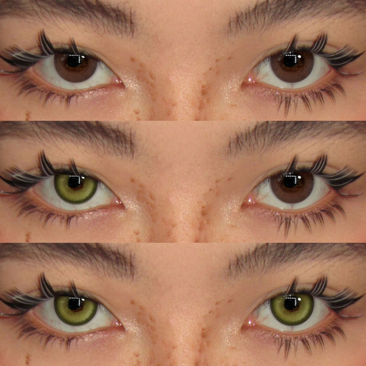 Akiwaii Peko Brown [Yearly]