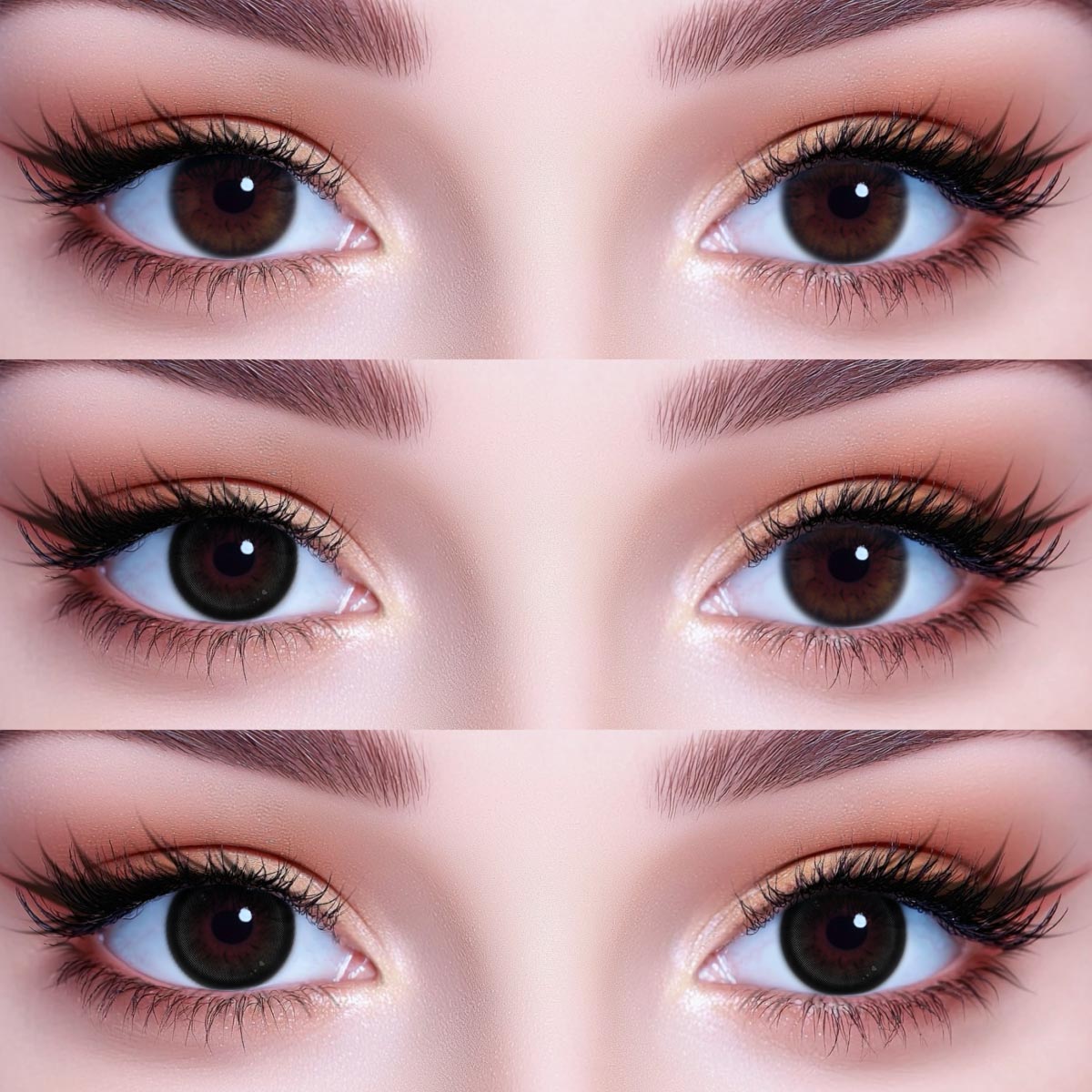 Akiwaii Prismora Black [Yearly]