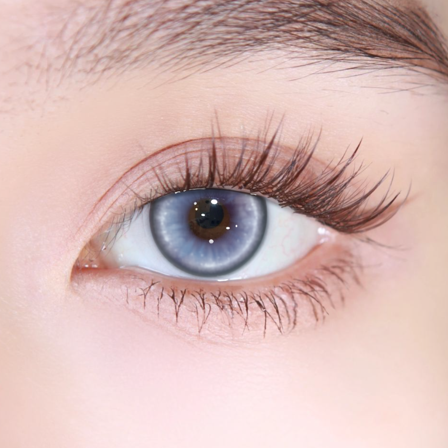 Akiwaii Kiera Purple [Monthly]