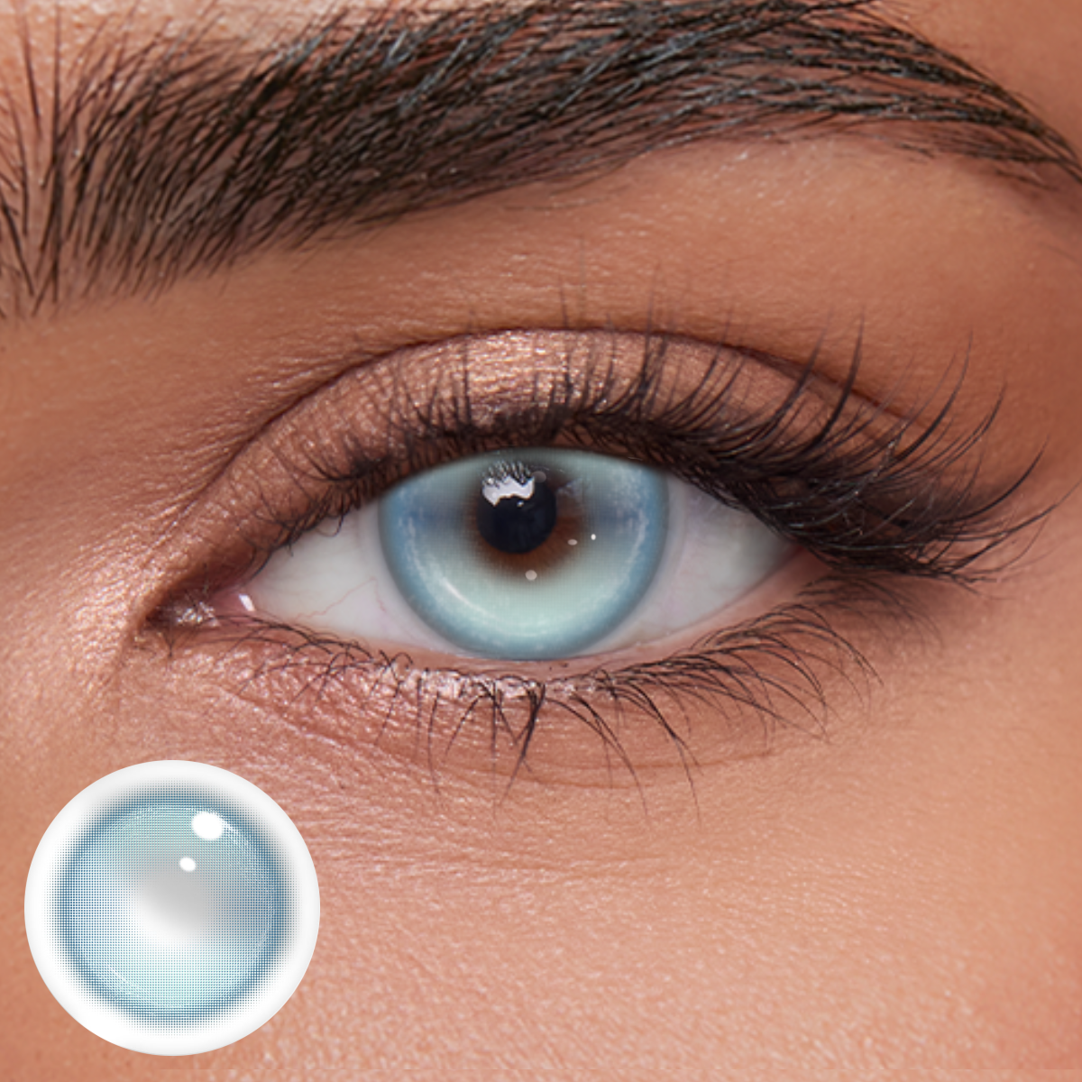 Akiwaii Fayne Blue [Yearly]