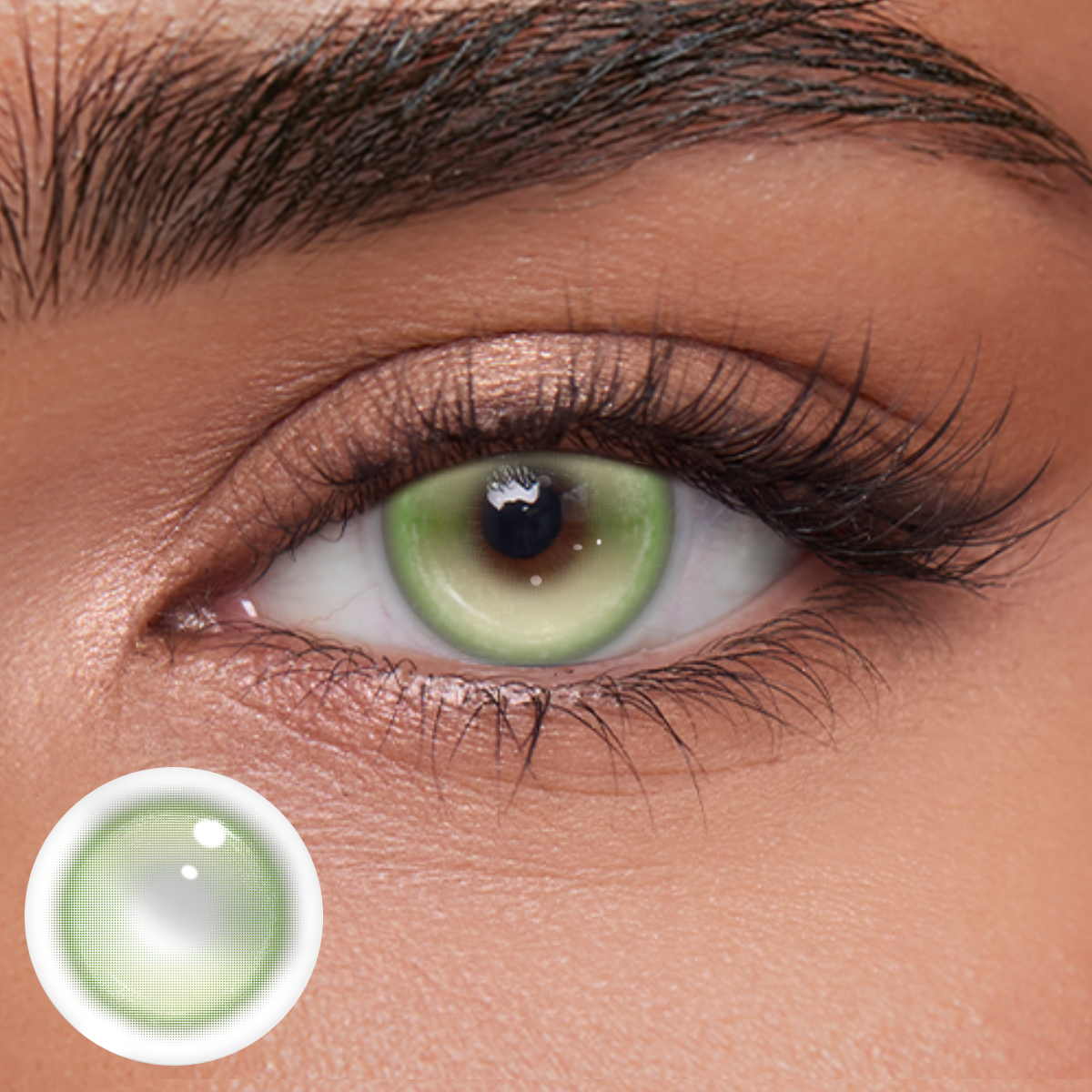 Akiwaii Fayne Brown [Yearly]