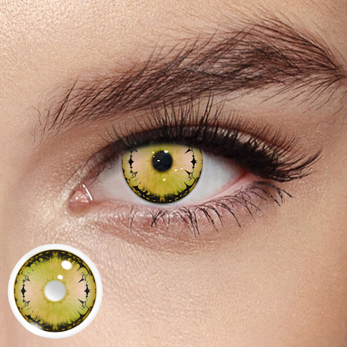 Akiwaii Xenith Brown [Yearly]