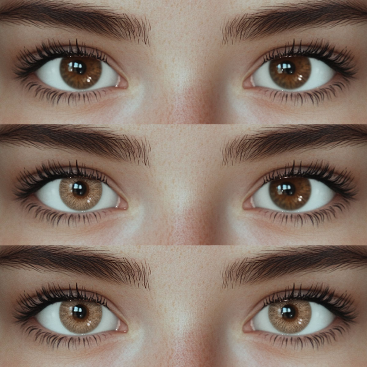 Akiwaii Radiis Brown[Yearly]