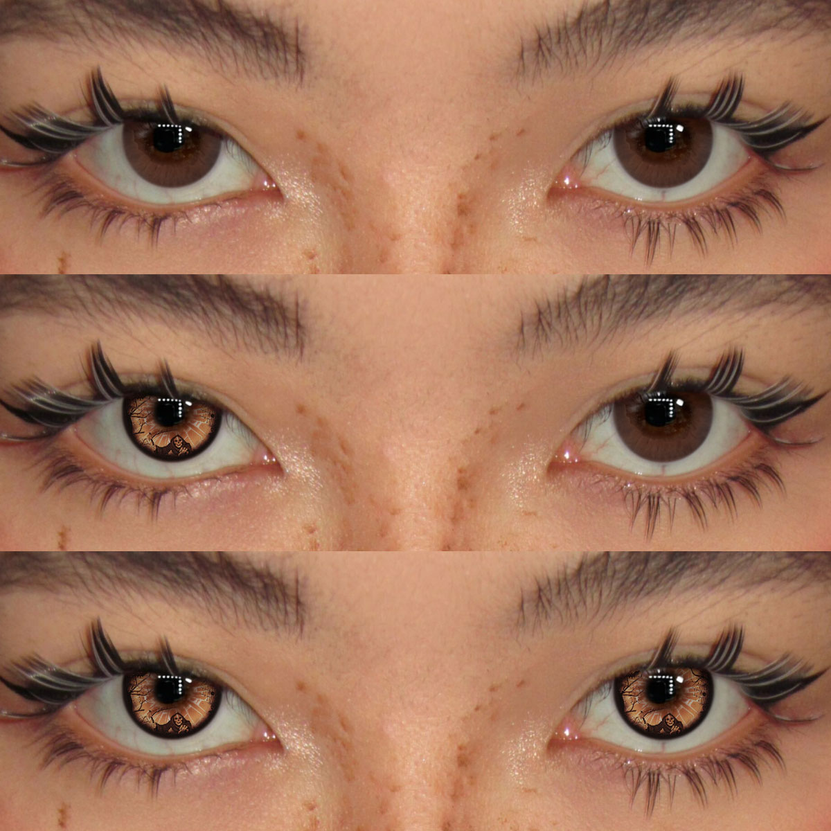 Akiwaii Ravenna Brown [Yearly]