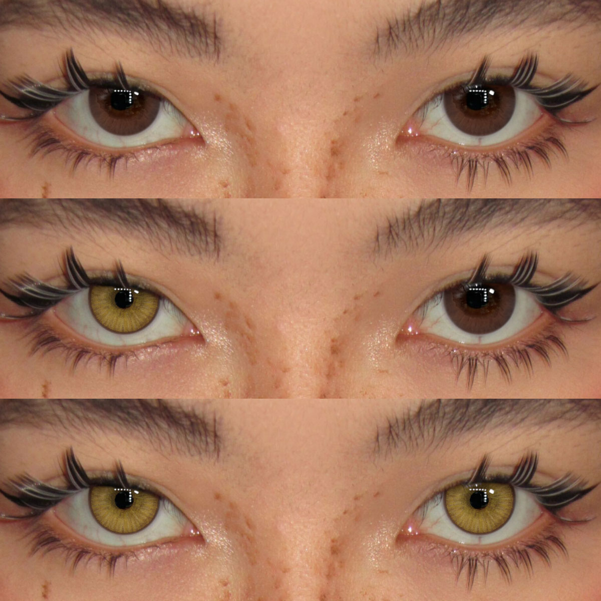 Akiwaii Riri Brown [Yearly]