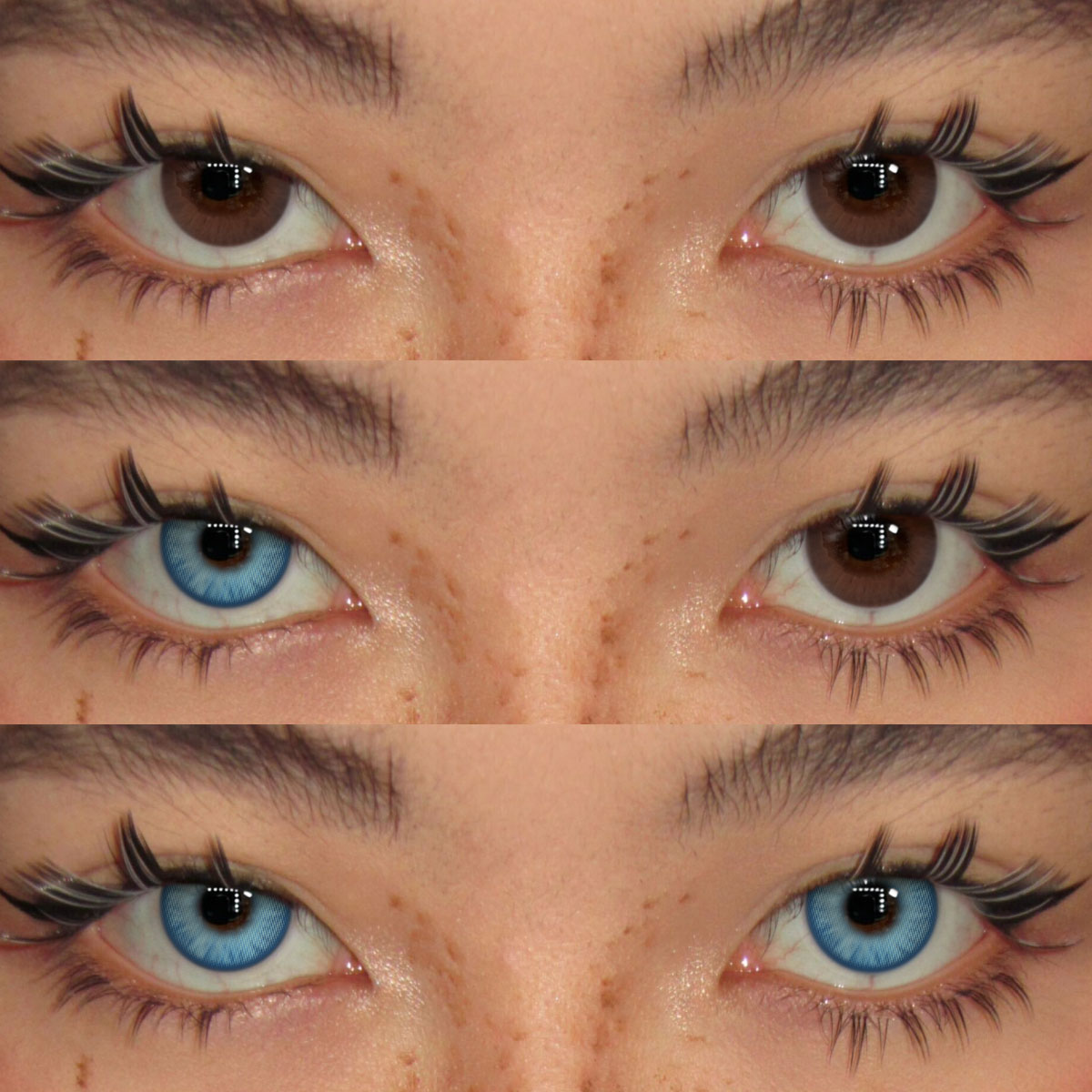 Akiwaii Serenia Blue[Yearly]