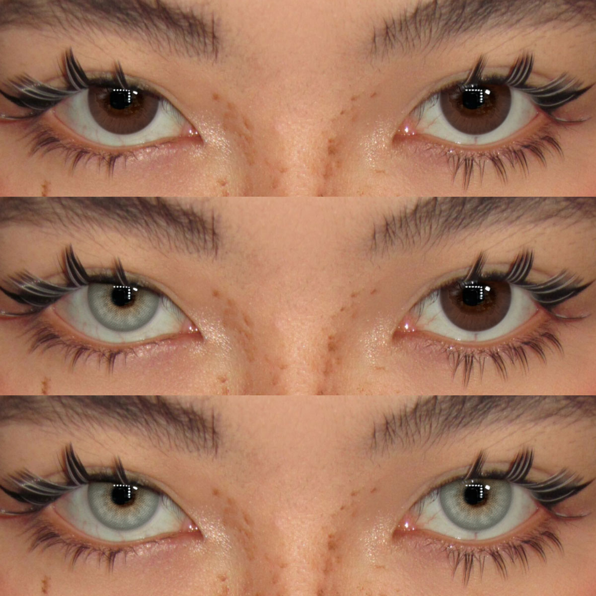 Akiwaii Sirius Green [Yearly]