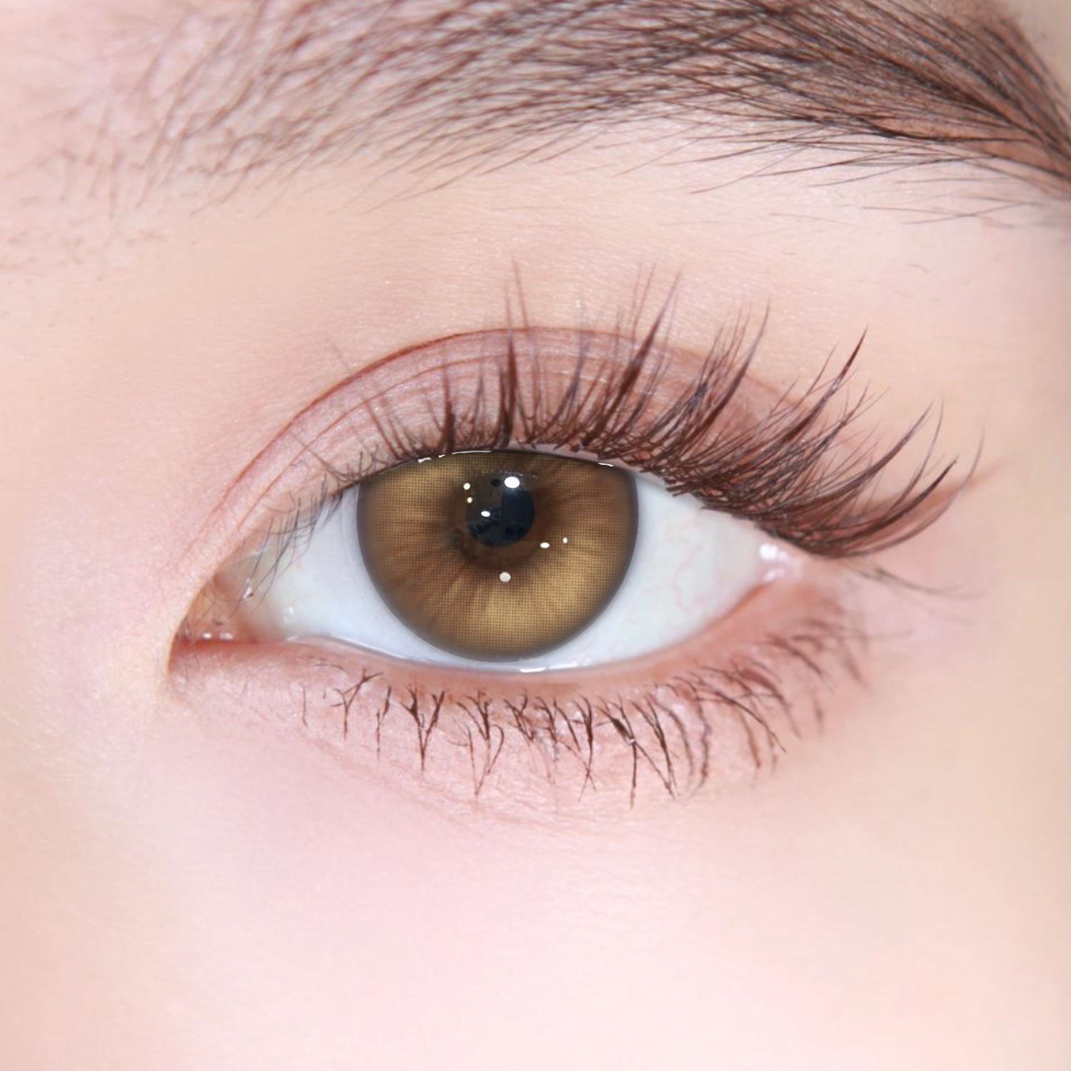 Akiwaii Tressa Brown [Yearly]