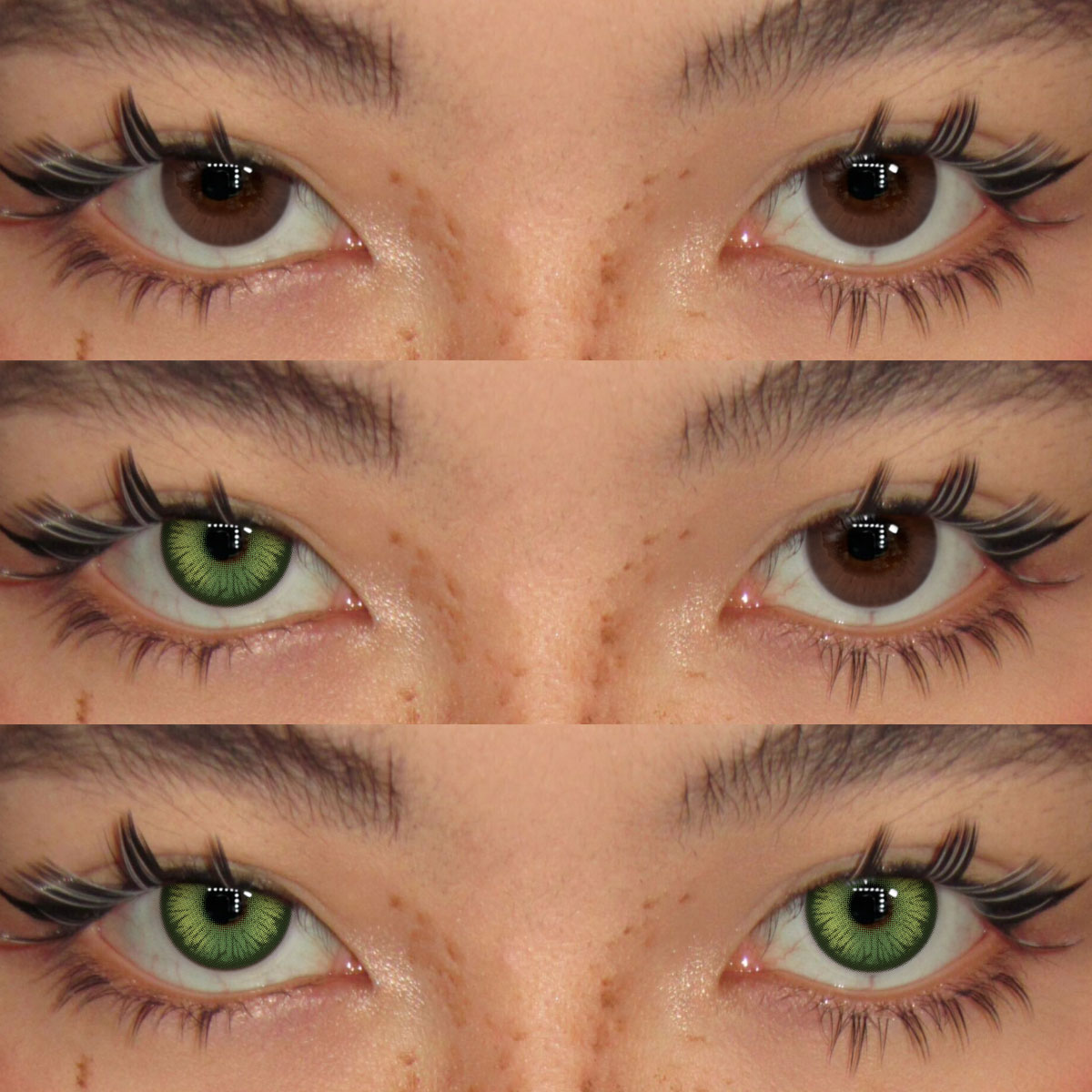 Akiwaii Vetra Green [Yearly]