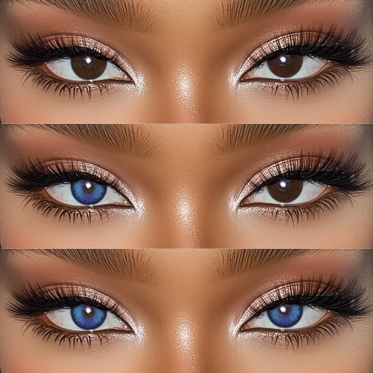 Akiwaii Vetra Purple [Yearly]