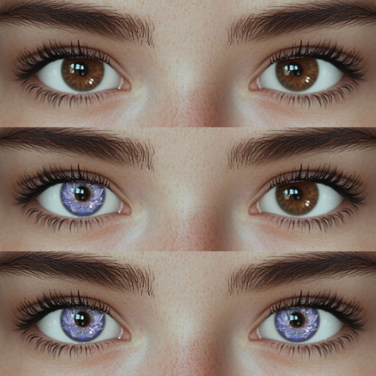 Akiwaii Wintera Blue[Yearly]