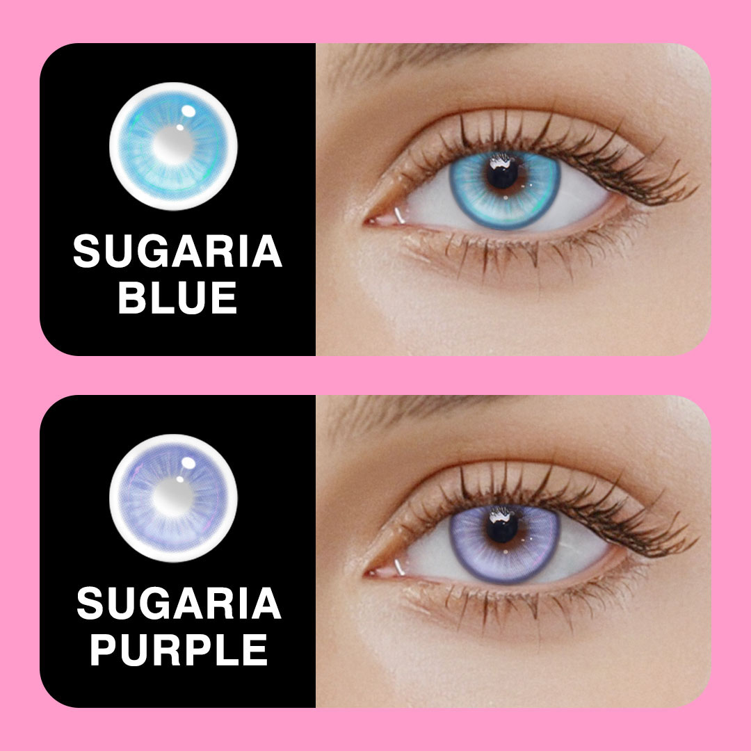 Akiwaii Sugaria Purple[Yearly]