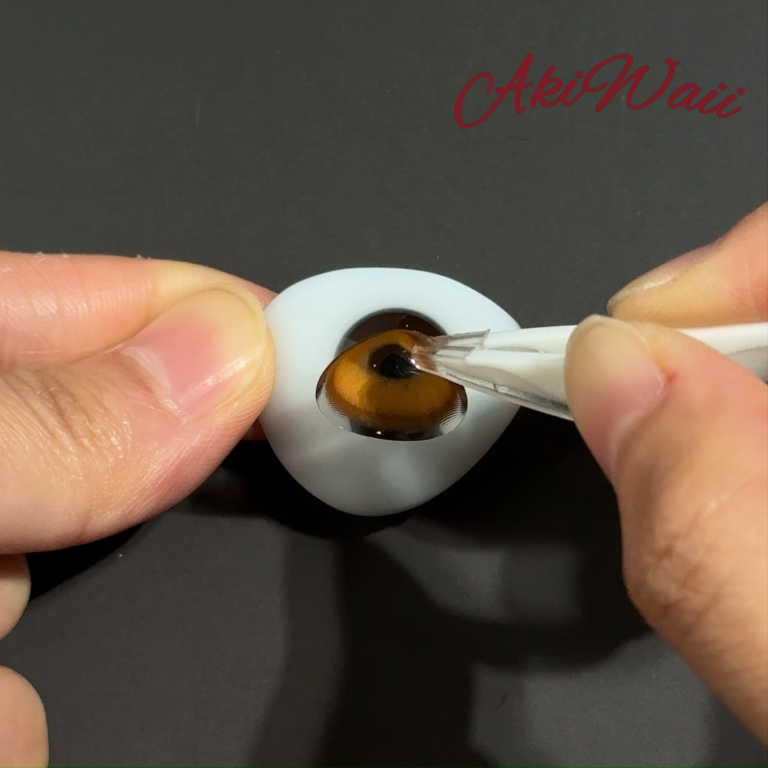 Akiwaii Velvet Gleam Brown [6-Month Wear]