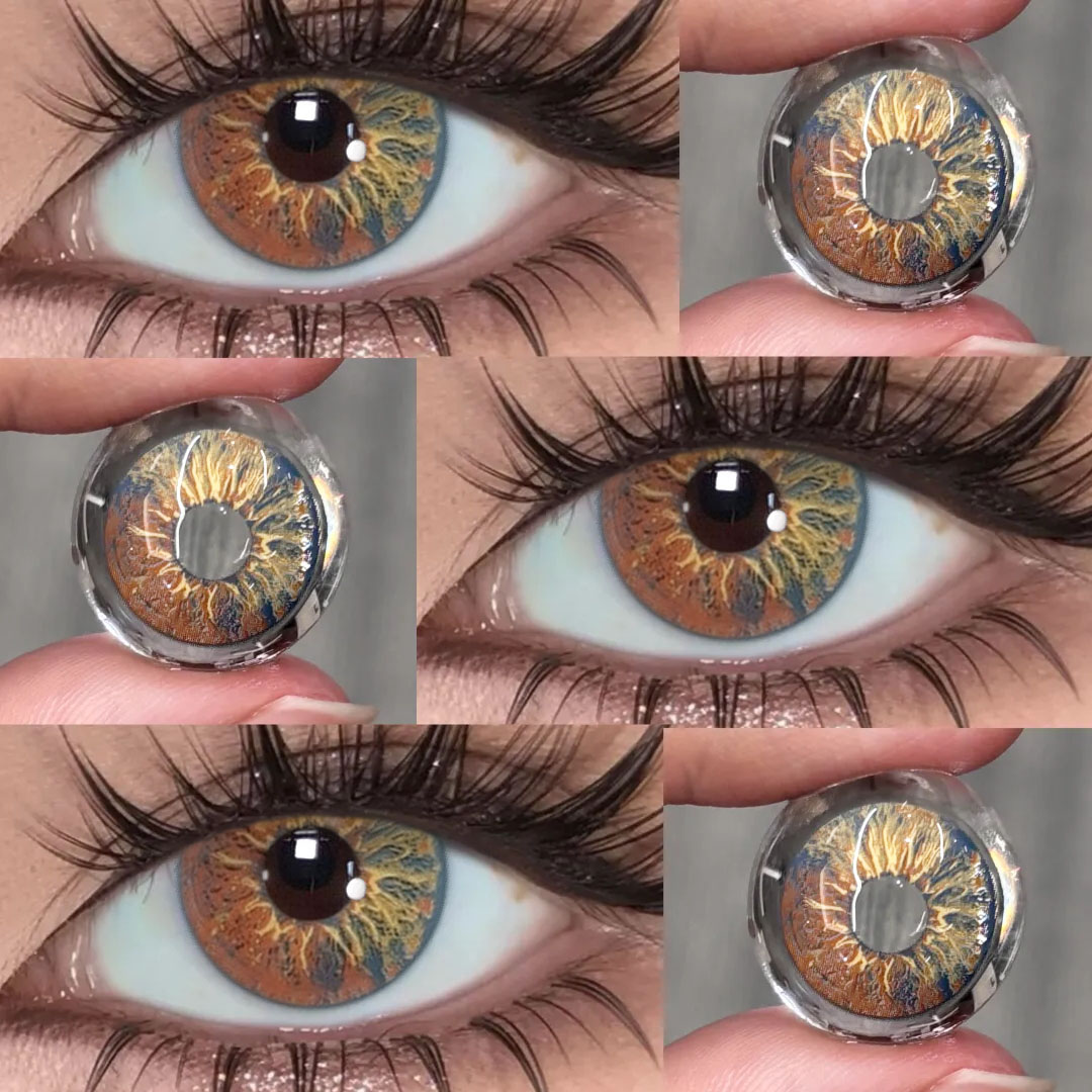 Akiwaii Orbit Brown[Yearly]