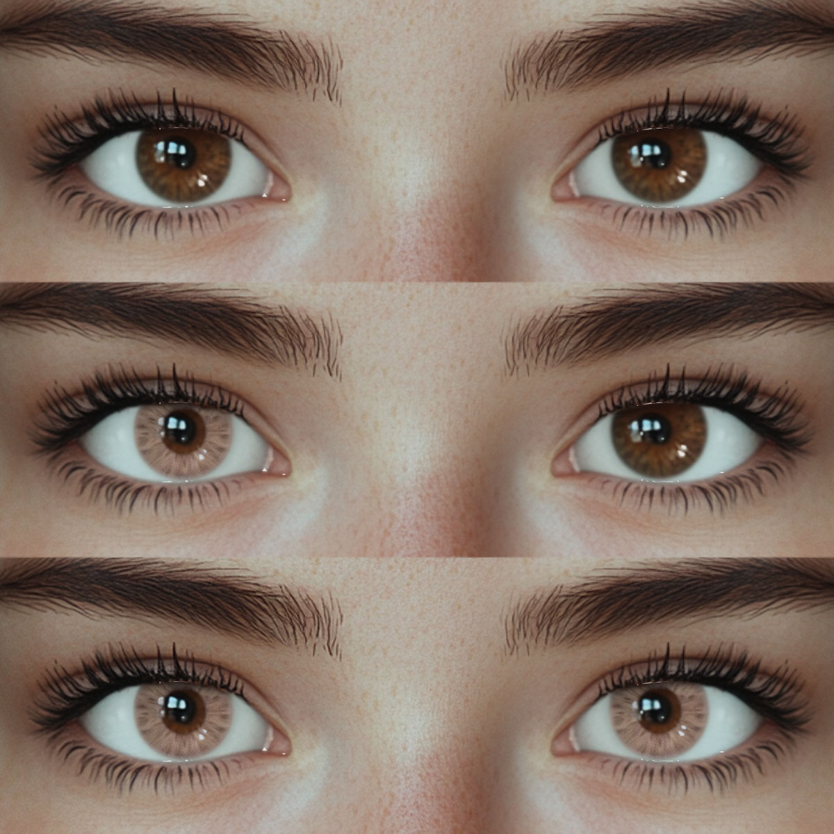 Akiwaii Radiis Brown[Yearly]