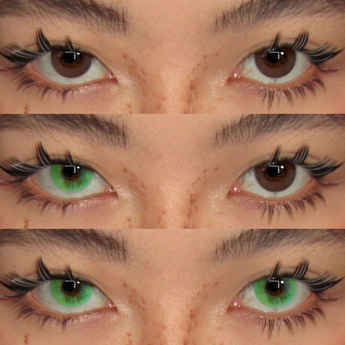 Akiwaii Limora Green[Yearly]