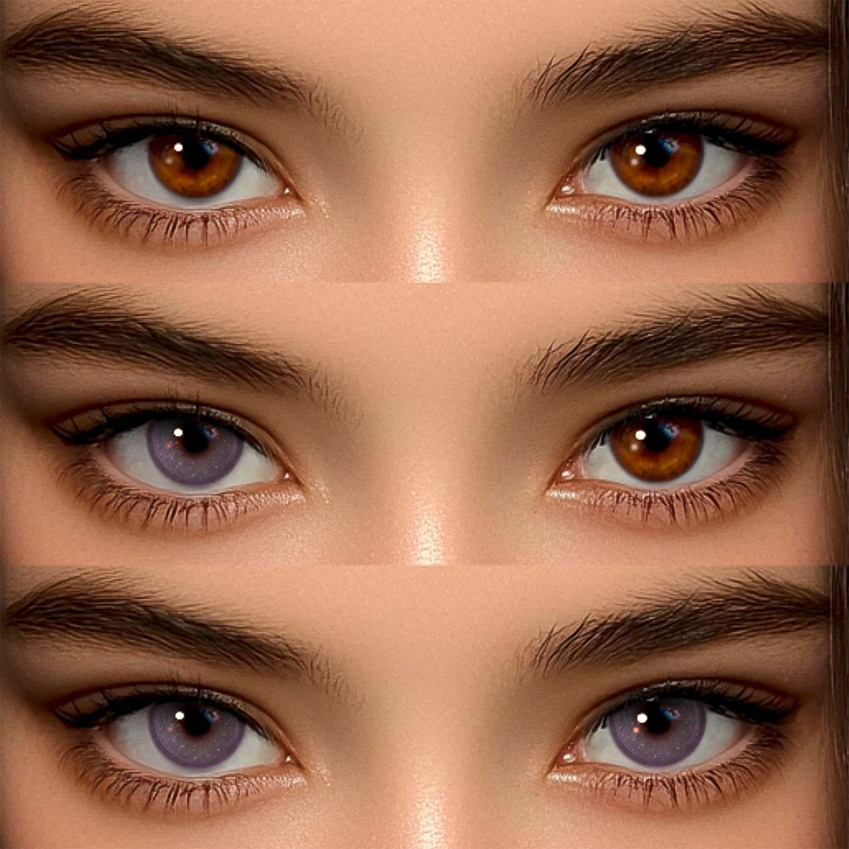 Akiwaii Omina Purple [Yearly]