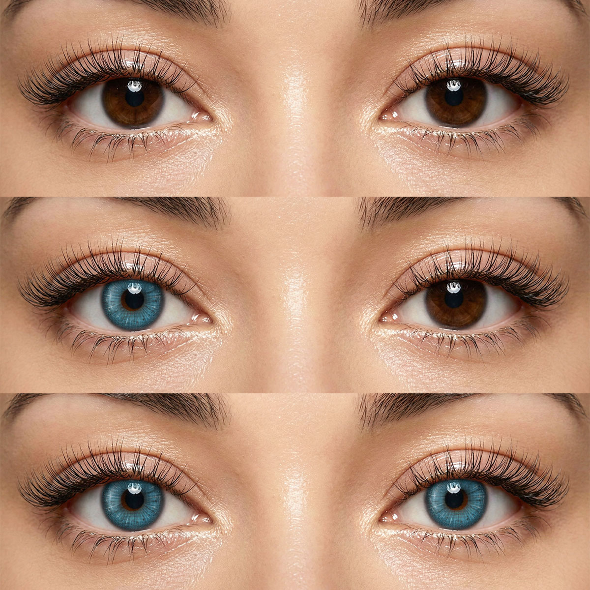 Akiwaii Peacock Blue [Yearly]