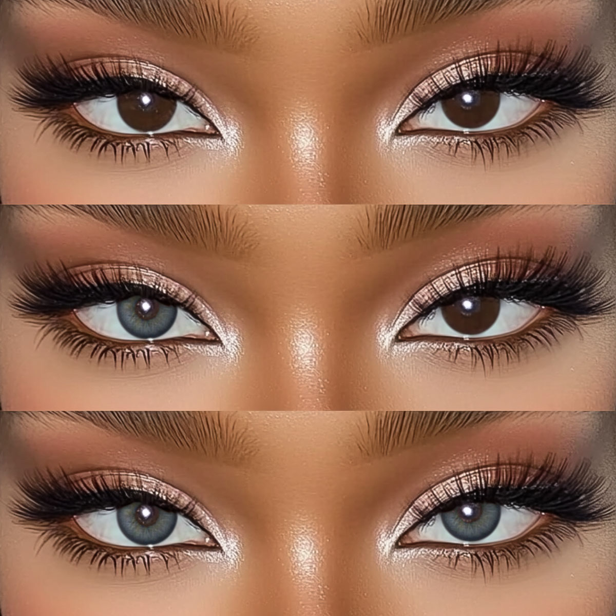 Akiwaii Aloura Brown [Yearly]