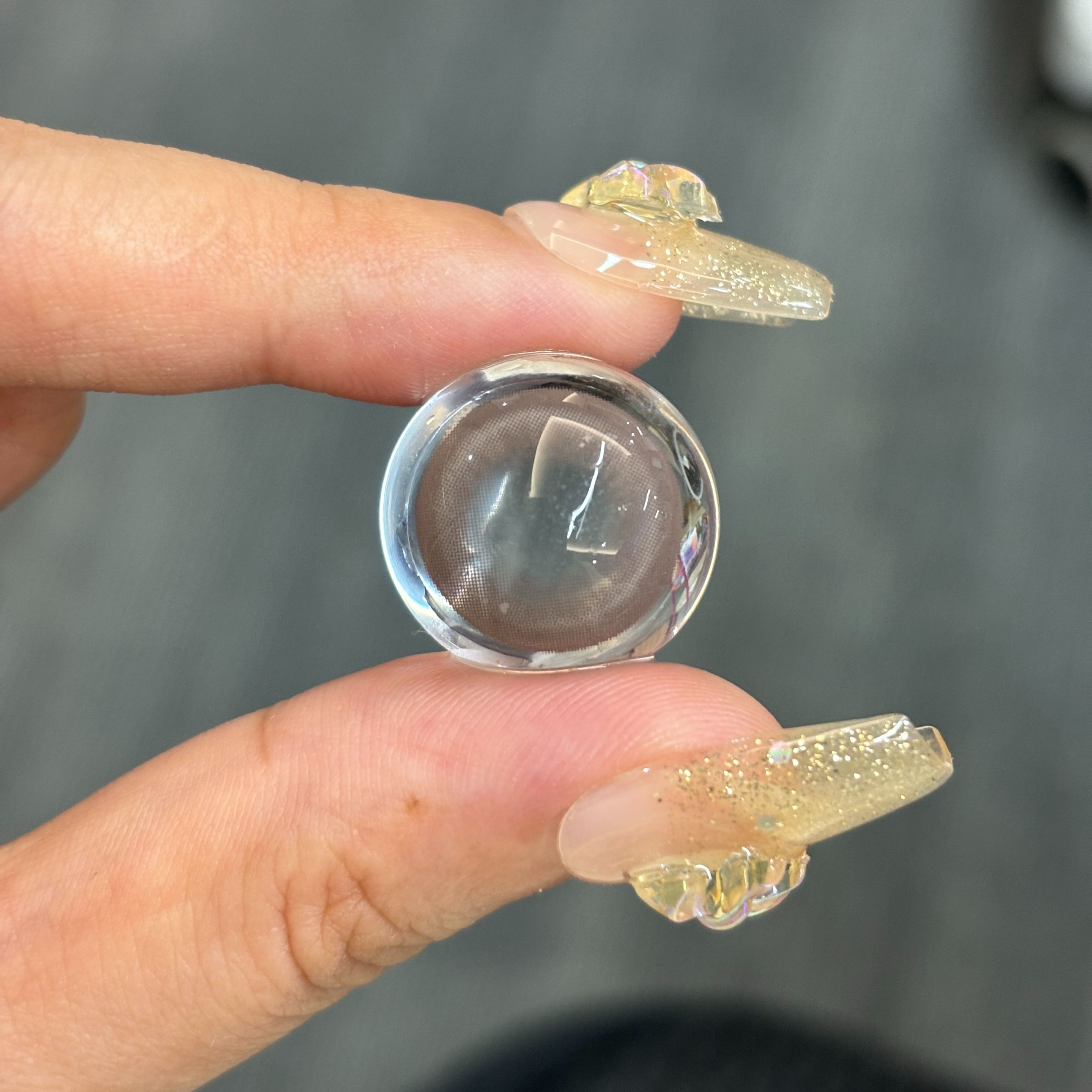 Akiwaii Prismora Chocolate [Yearly]