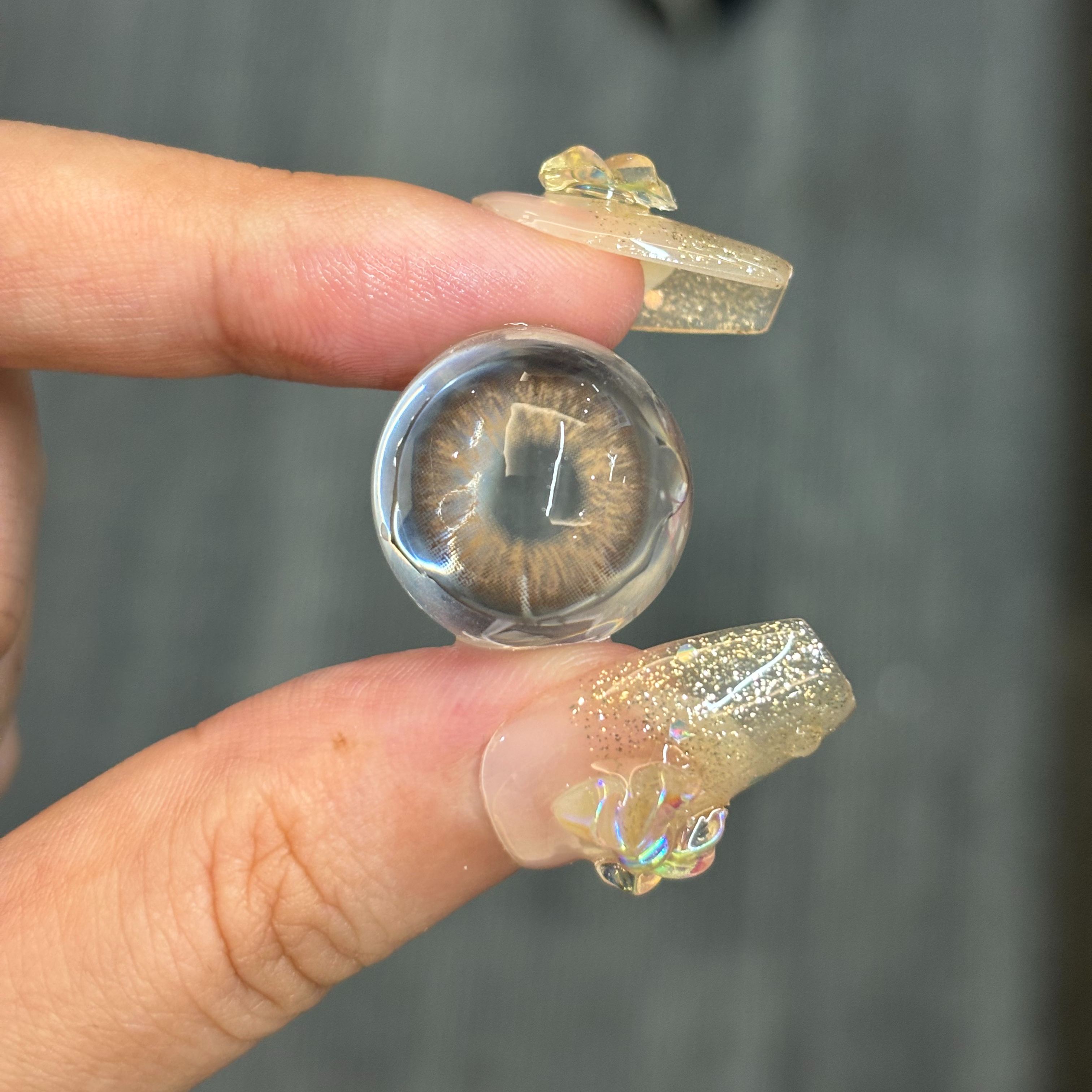 Akiwaii Satin Brown [Yearly]