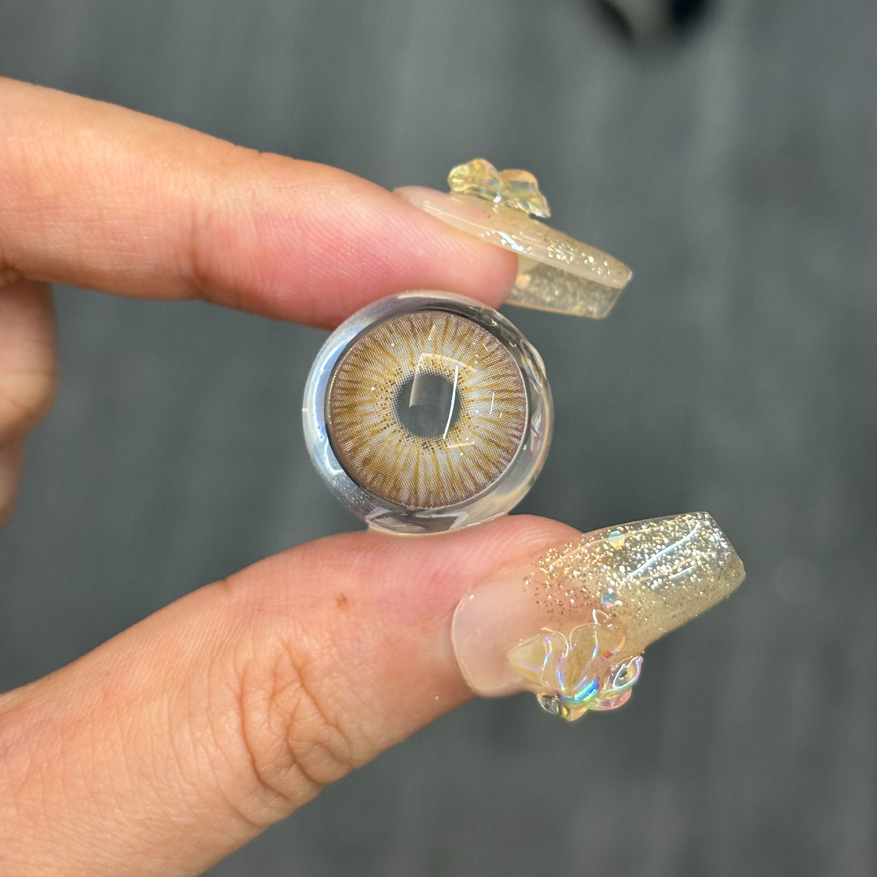 Akiwaii Miravale Hazel [Monthly]