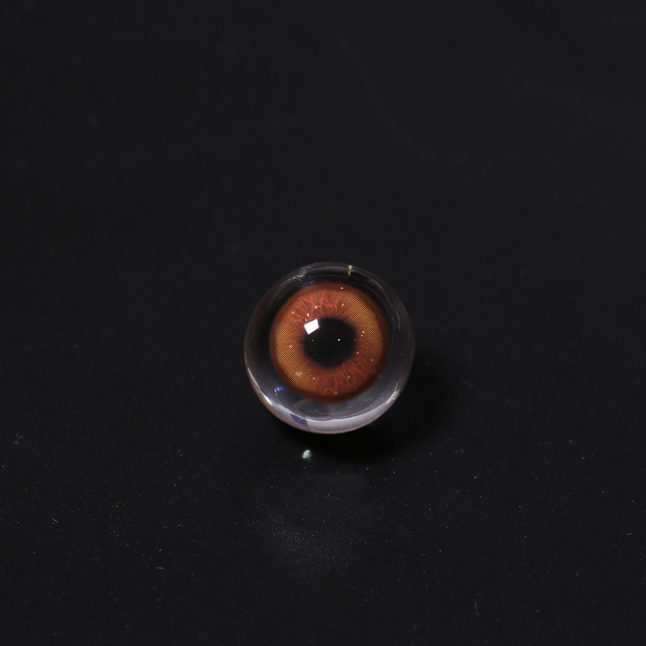 Akiwaii Velvette Brown [Yearly]