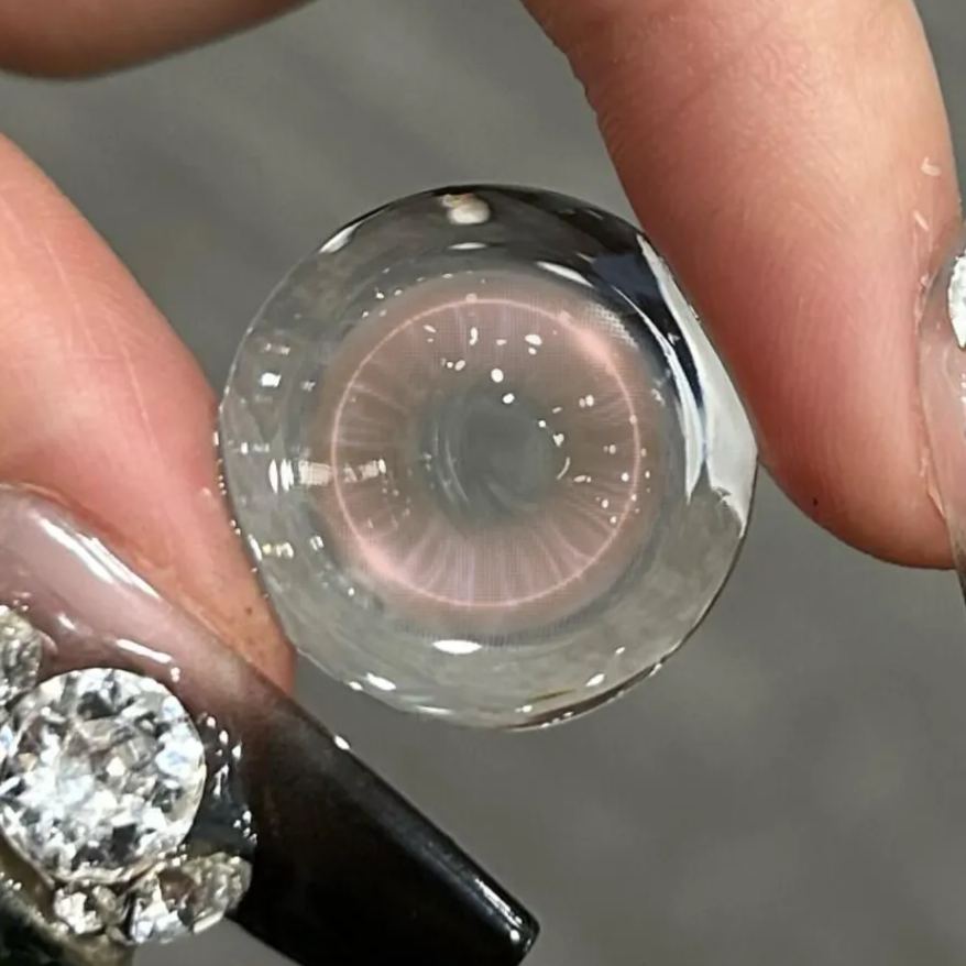 Akiwaii Glowline Brown [Yearly]