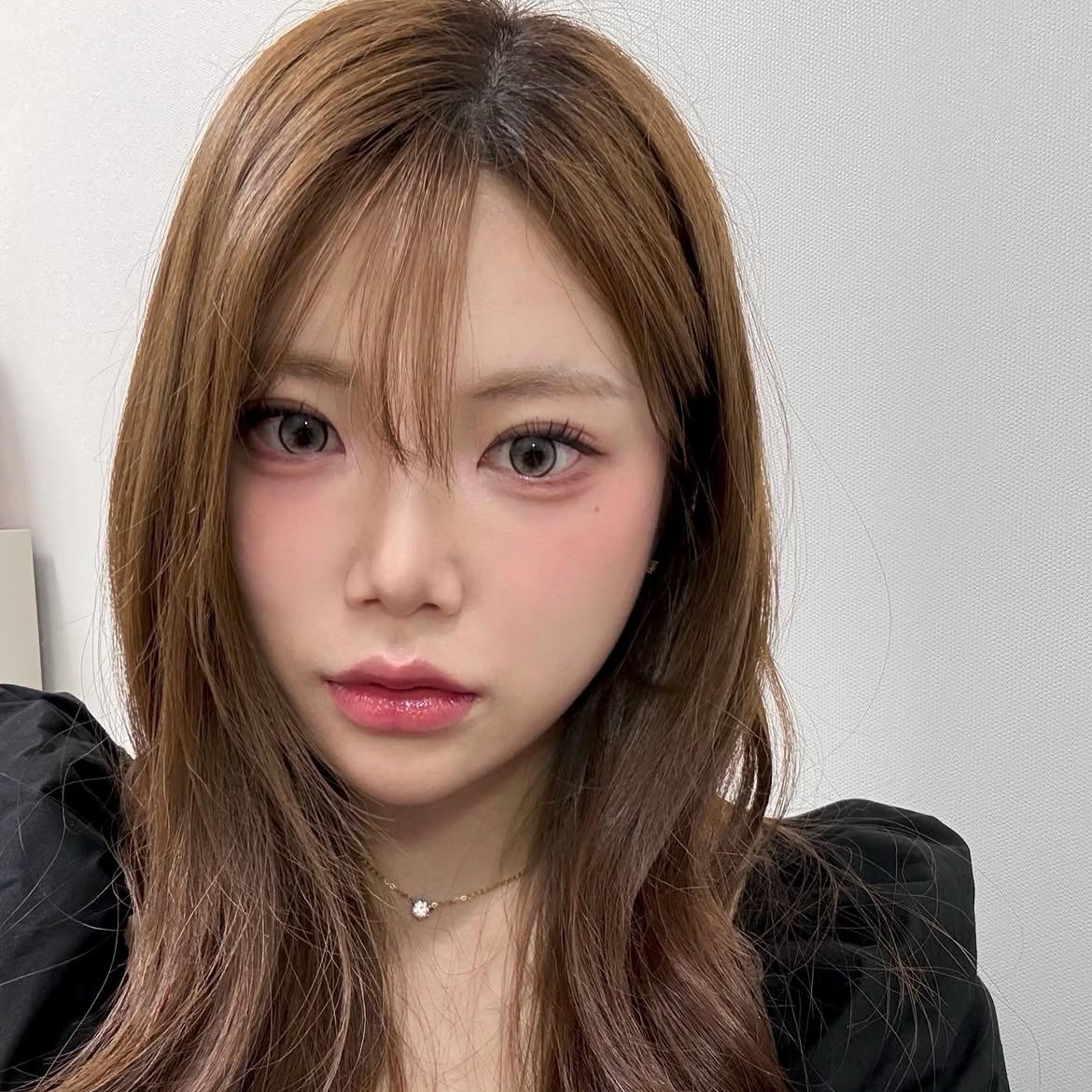 Akiwaii Glissis Brown[Yearly]