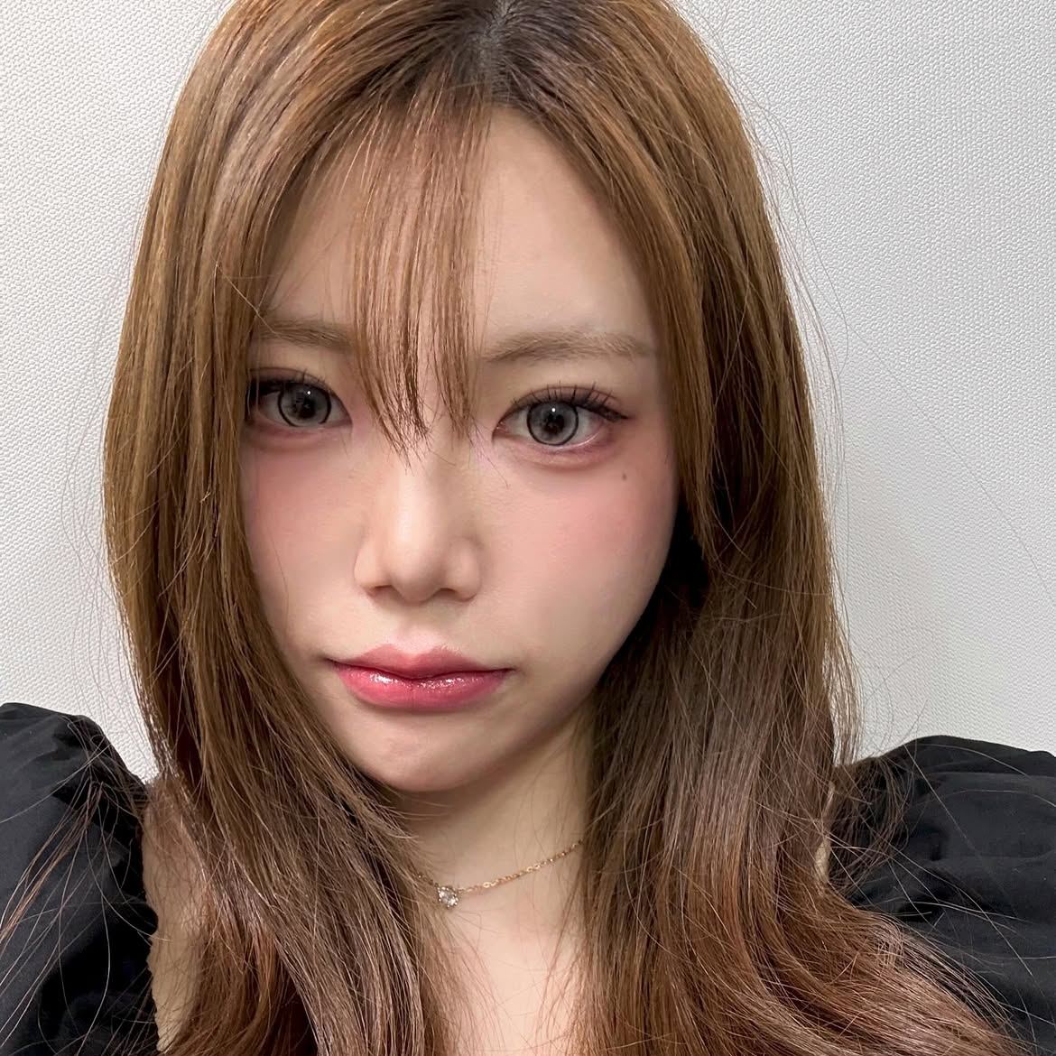 Akiwaii Glissis Brown[Yearly]