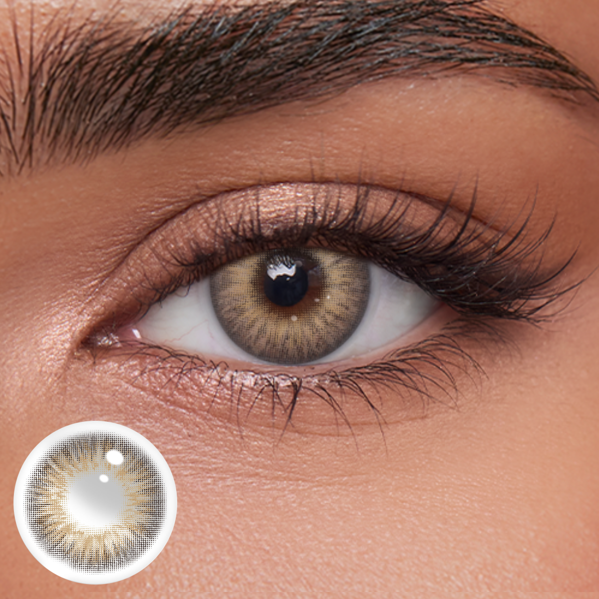 Akiwaii Satin Brown [Yearly]