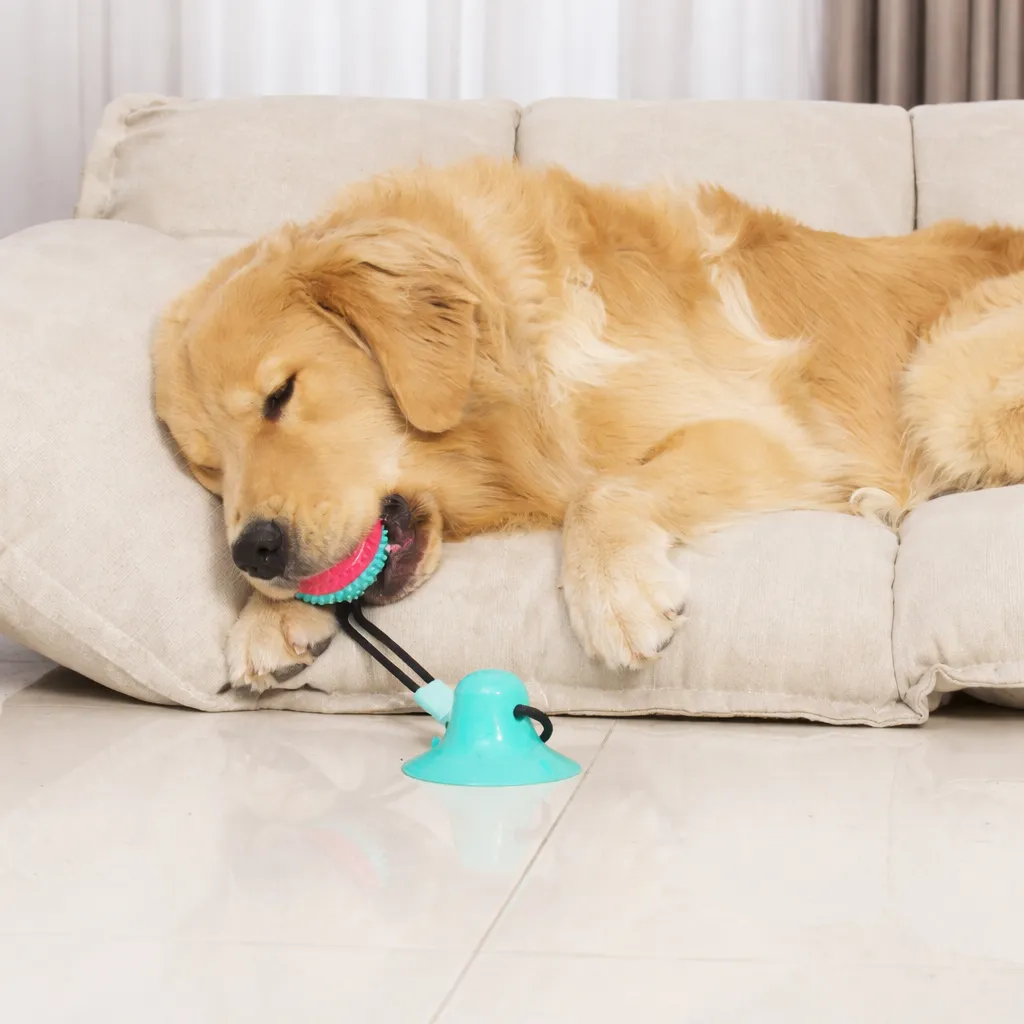 Interactive Suction Cup Dog Toy – Teeth Cleaning, Tug Training & Anxiety Relief