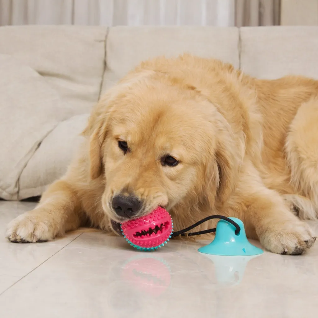 Interactive Suction Cup Dog Toy – Teeth Cleaning, Tug Training & Anxiety Relief