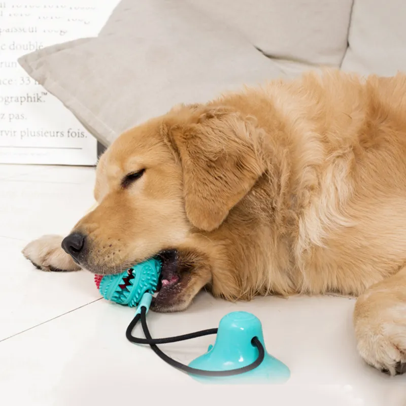 Interactive Suction Cup Dog Toy – Teeth Cleaning, Tug Training & Anxiety Relief