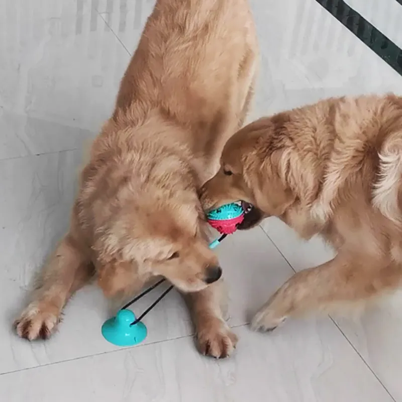 Interactive Suction Cup Dog Toy – Teeth Cleaning, Tug Training & Anxiety Relief
