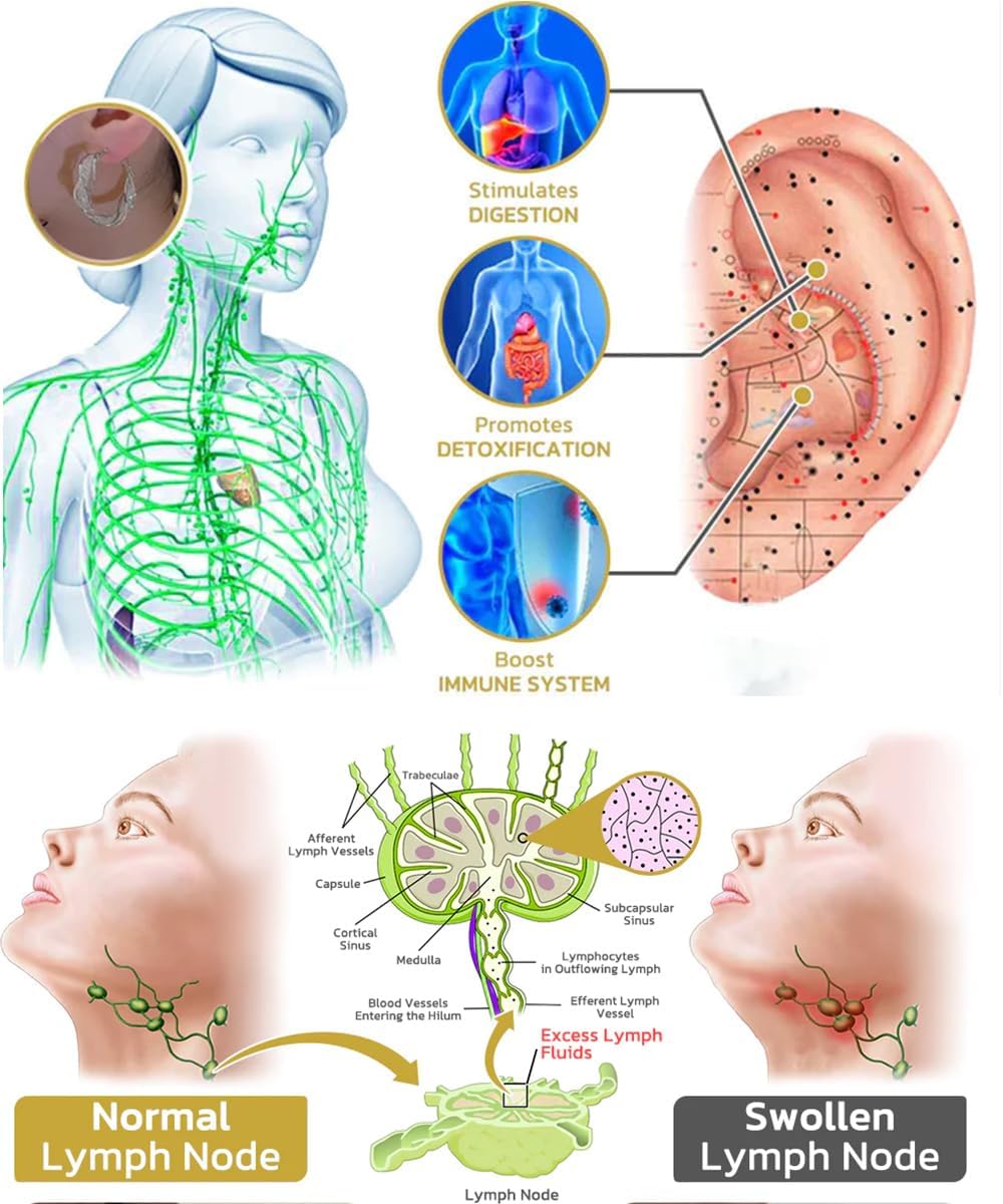 Lymphatic Activity Hoop Earrings, Lymphatic Drainage Slimming Hoop  Earrings, Lymphvity Magnetic Therapy Earrings for Women, Acupuncture  Earrings (Gold-1Pair) : Amazon.co.uk: Fashion