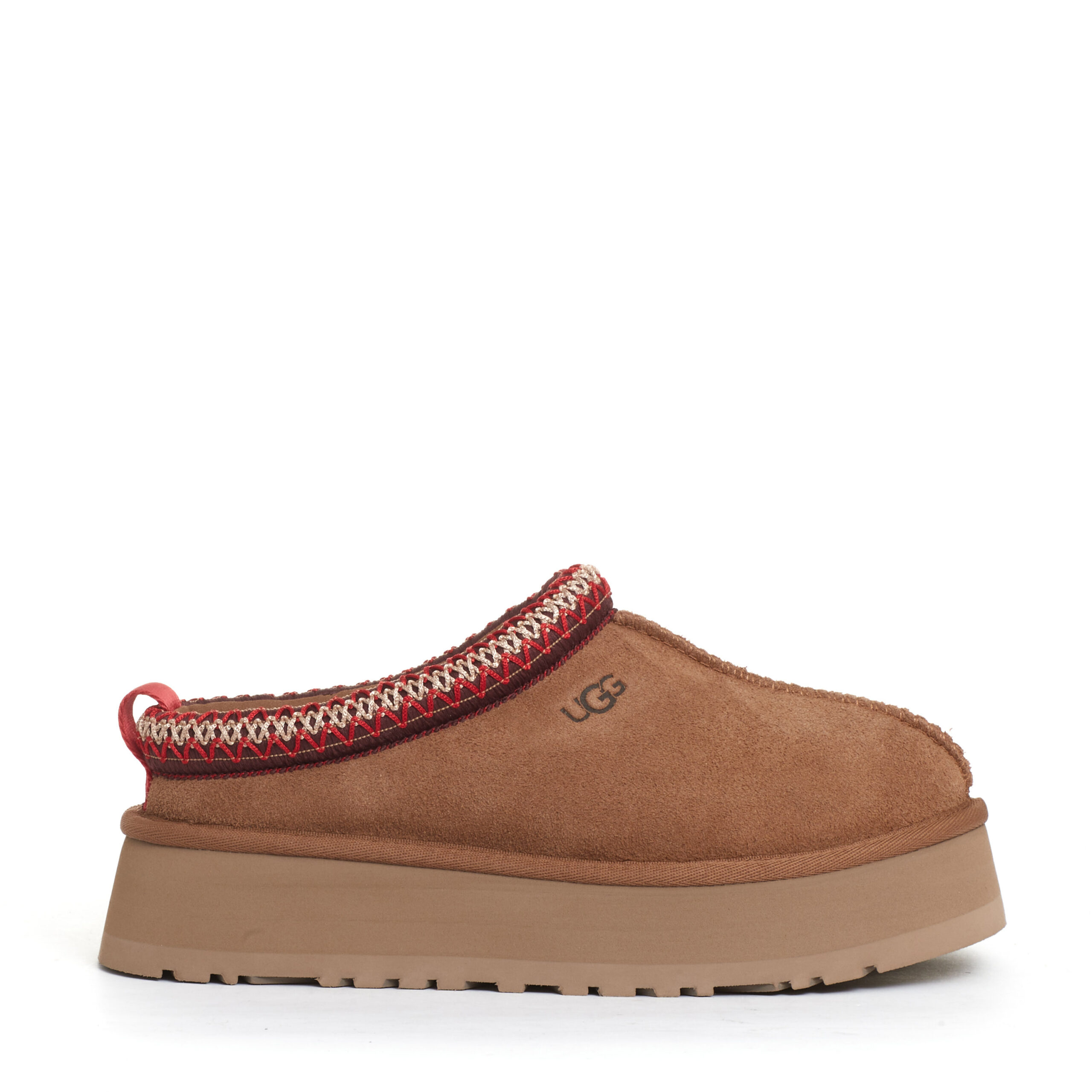 Tazz montone chestnut profilo rosso