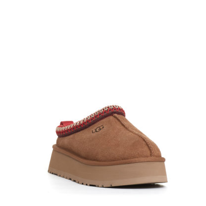 Tazz montone chestnut profilo rosso