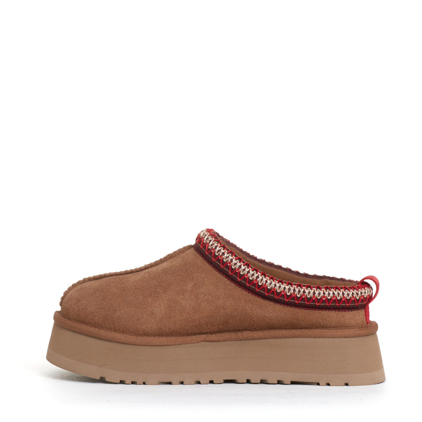 Tazz montone chestnut profilo rosso